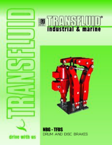 cover-NBG-TFDS - v.2412